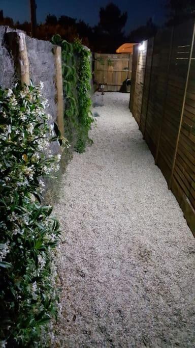 Le Chai De L'Ocean - Studio Avec Jardin Et Terrasse - Plage 300 M Soulac-sur-Mer Eksteriør bilde